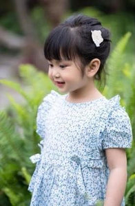 Lailan Dress