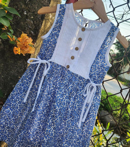 Alva blue dress