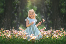Load image into Gallery viewer, Alaya  (Children smock Dress)
